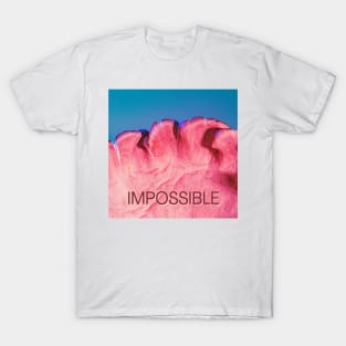 Impossible T-Shirt